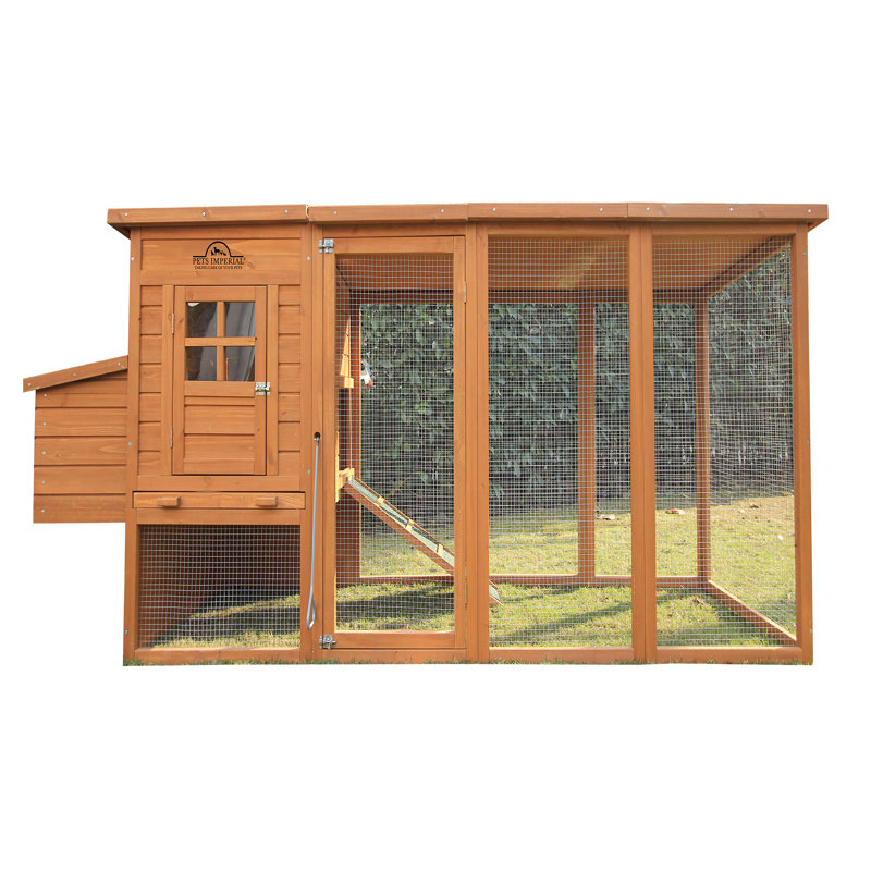 Pets Imperial® Chicken Coops Nesting Boxes & Reviews Wayfair